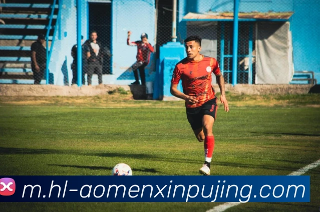 新葡京娱乐平台生态图